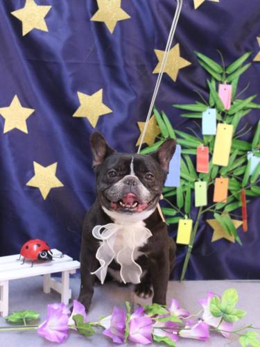 20230704スミレちゃん